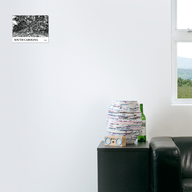 South Carolina USA by Lakeric